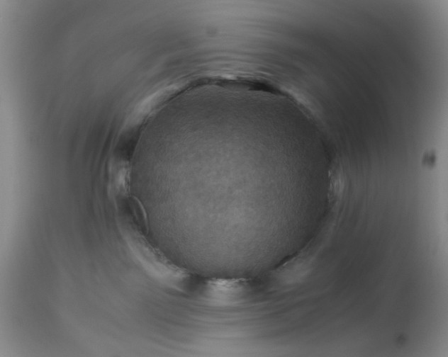 X0000113600141200910021749