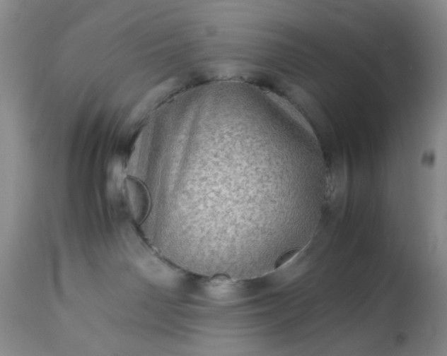 X0000113600142200910021749