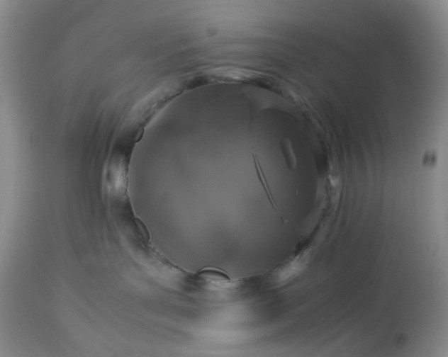 X0000113600143200910021749