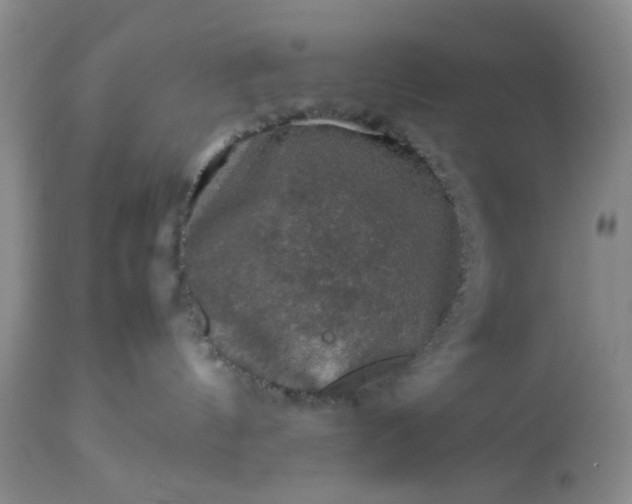 X0000113600144200910021749