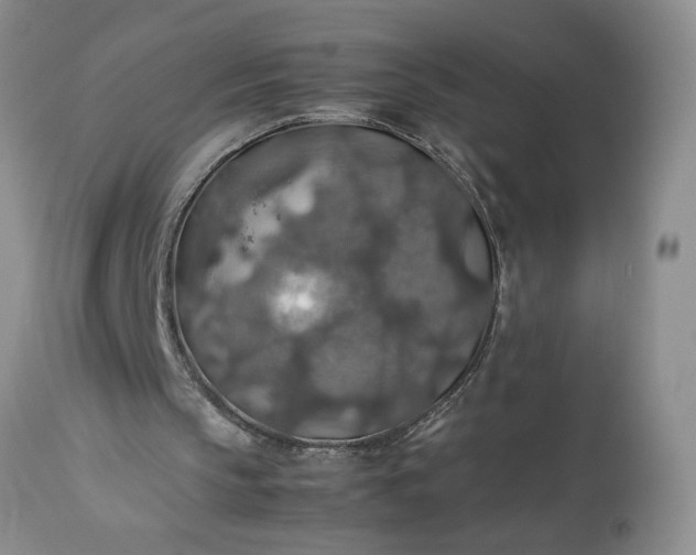 X0000113600145200910021749