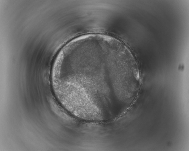 X0000113600146200910021749