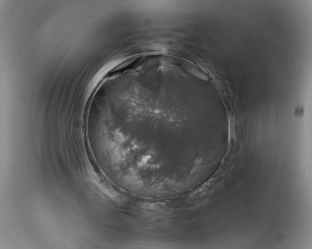 X0000113600147200910021749