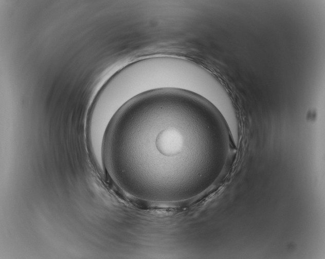 X0000113600148200910021749