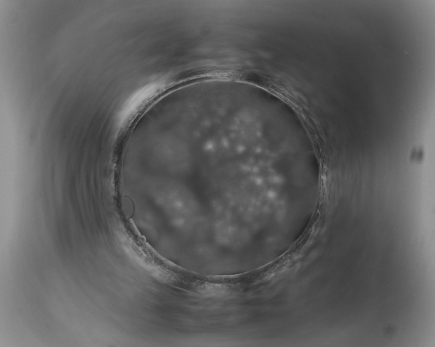 X0000113600149200910021749