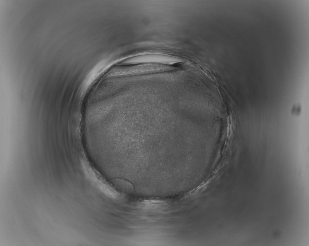 X0000113600150200910021749