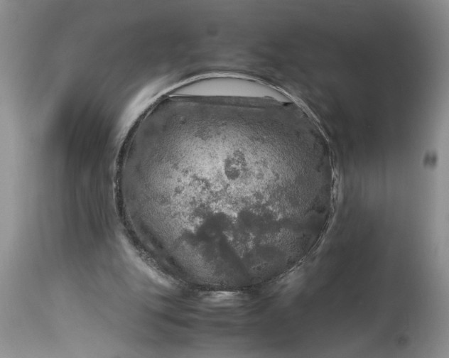 X0000113600151200910021749