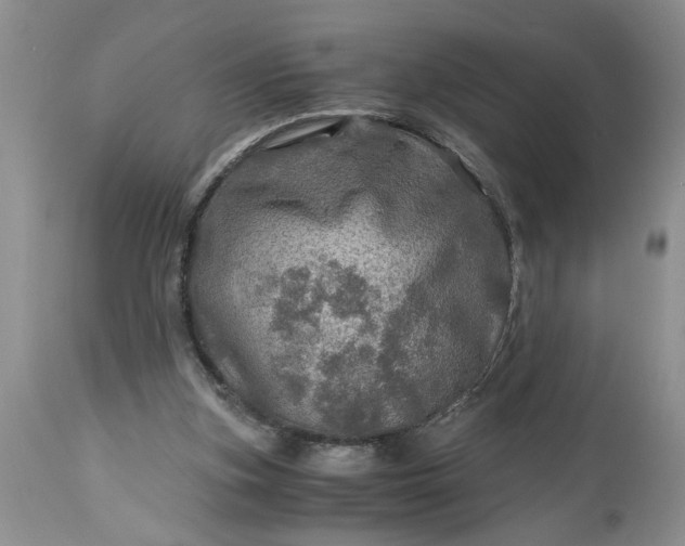 X0000113600155200910021749