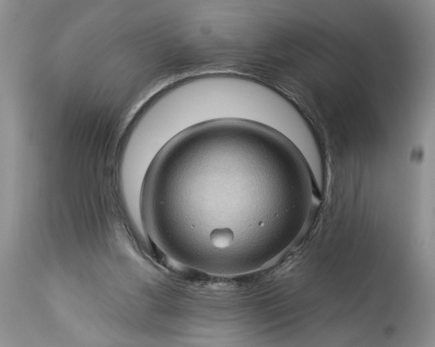 X0000113600156200910021749