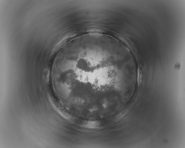 X0000113600157200910021749