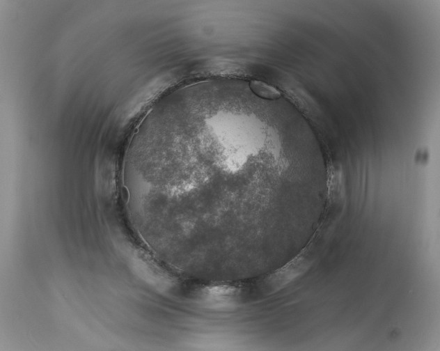 X0000113600158200910021749