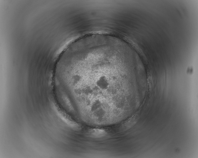 X0000113600159200910021749