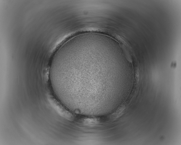 X0000113600160200910021749