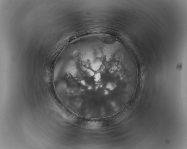 X0000113600161200910021749