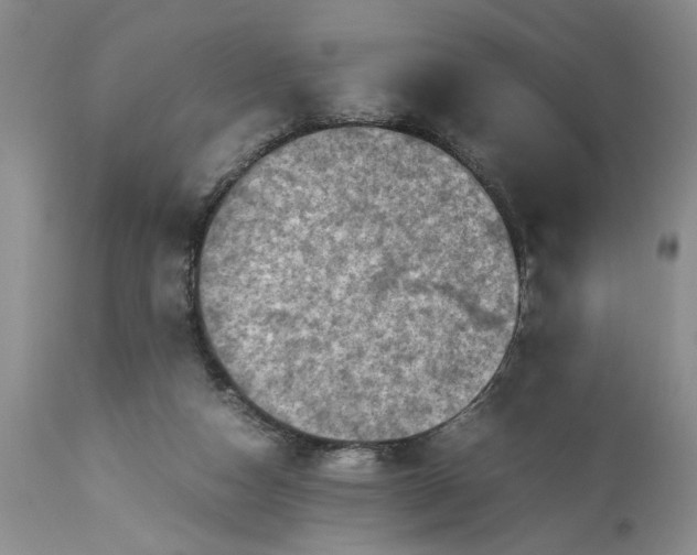 X0000113600162200910021749