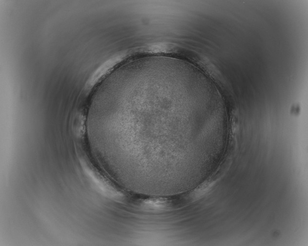 X0000113600164200910021749