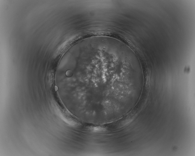 X0000113600165200910021749