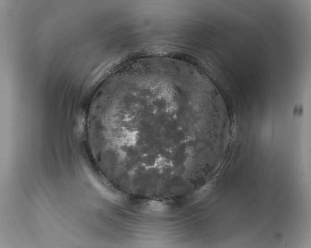 X0000113600166200910021749