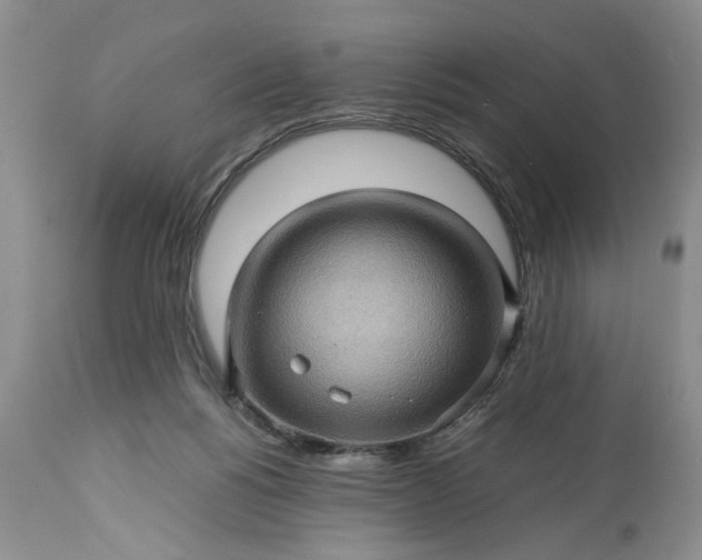 X0000113600168200910021749