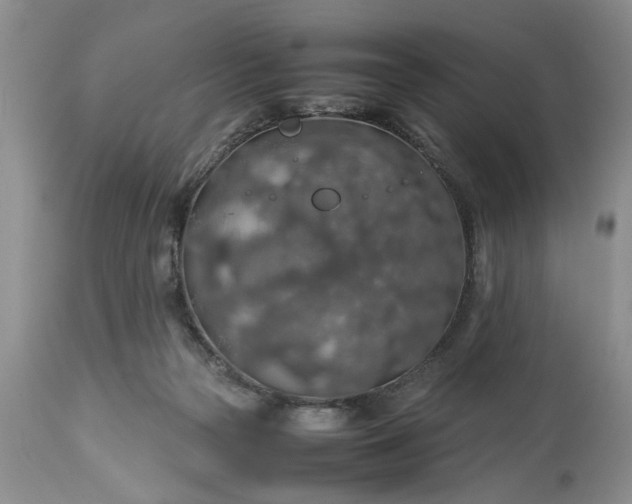 X0000113600169200910021749