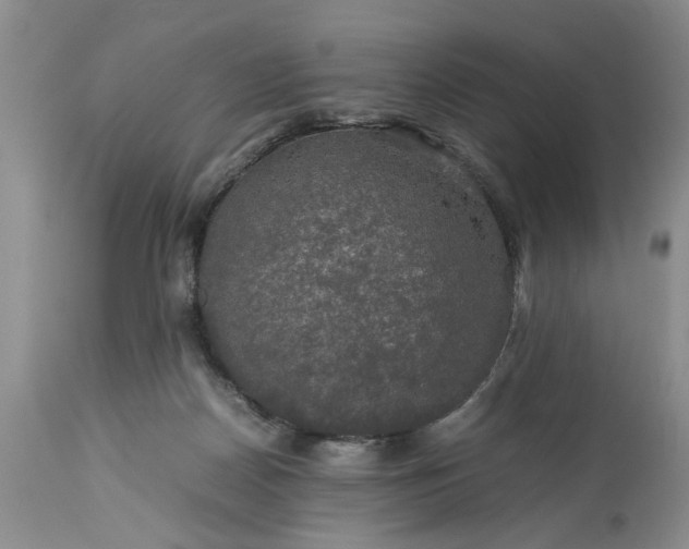 X0000113600170200910021749