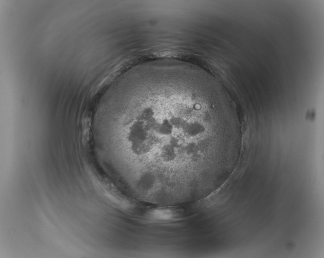 X0000113600171200910021749