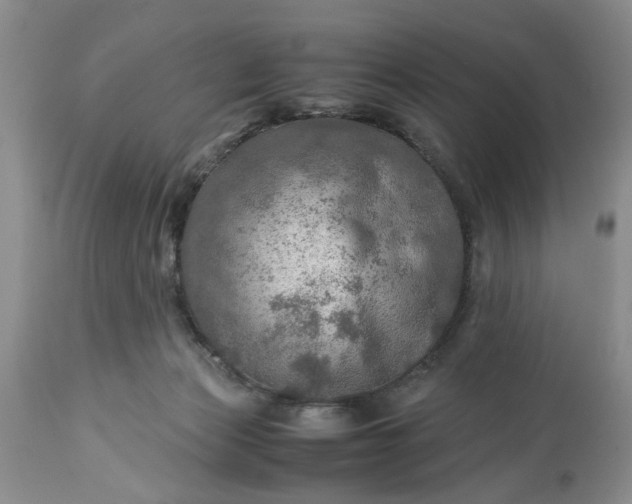 X0000113600173200910021749