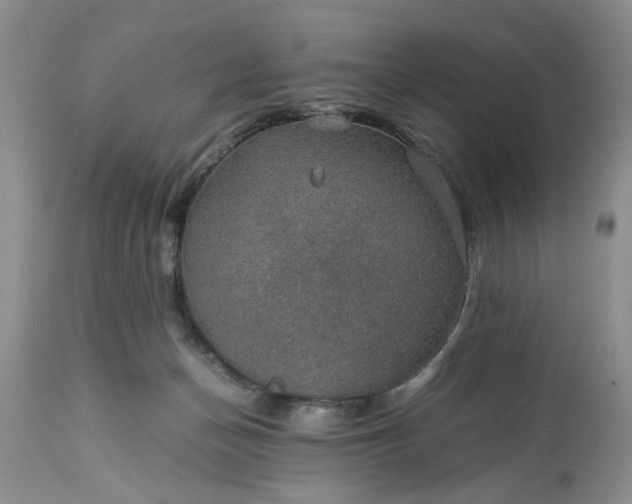 X0000113600174200910021749