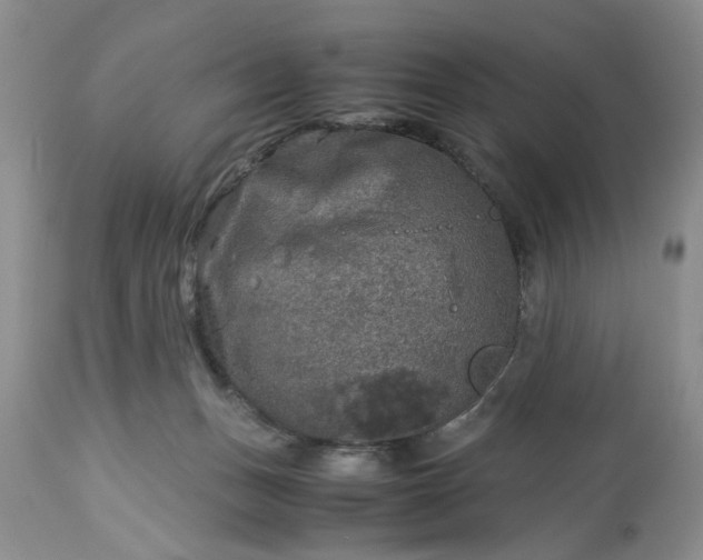 X0000113600175200910021749