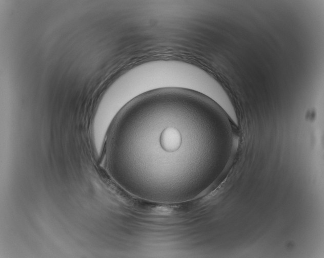 X0000113600176200910021749