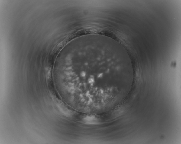 X0000113600177200910021749