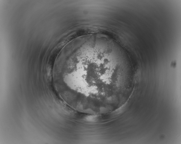 X0000113600178200910021749