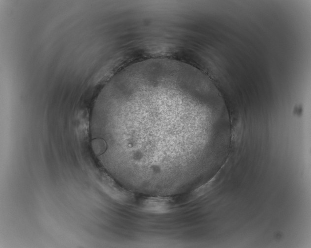 X0000113600179200910021749