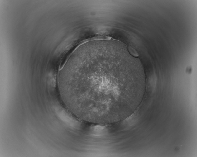 X0000113600180200910021749