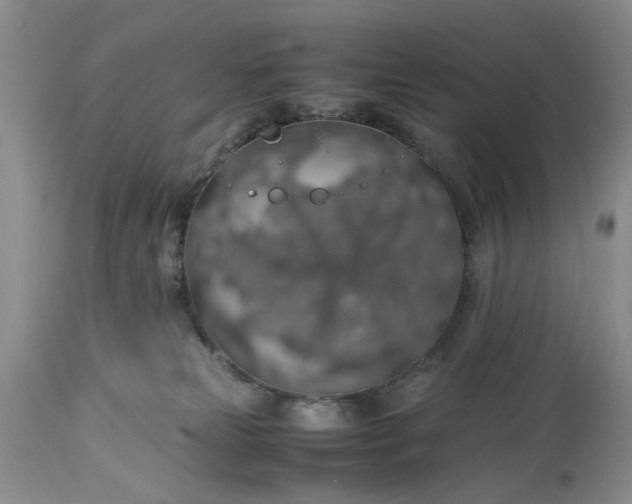 X0000113600181200910021749