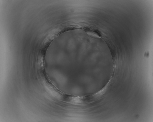 X0000113600182200910021749