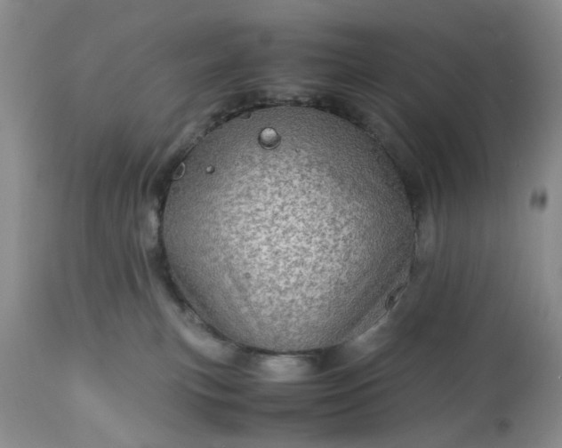 X0000113600183200910021749