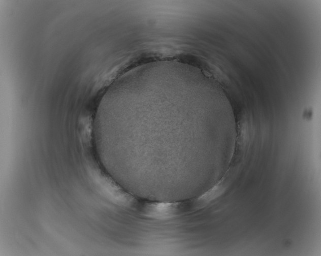 X0000113600184200910021749