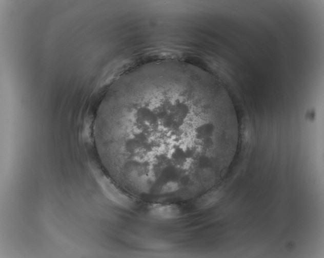 X0000113600185200910021749