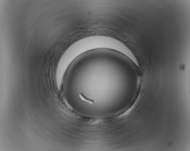 X0000113600186200910021749