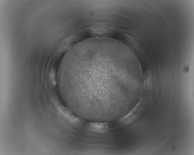 X0000113600187200910021749