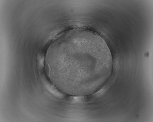 X0000113600188200910021749