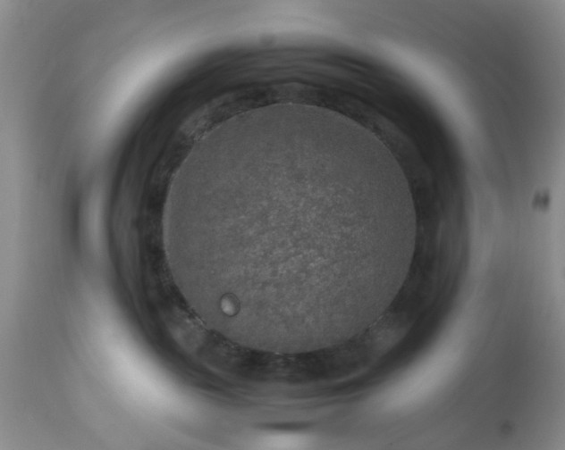 X0000113600189200910021749