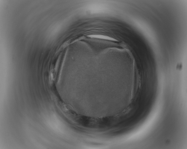 X0000113600190200910021749