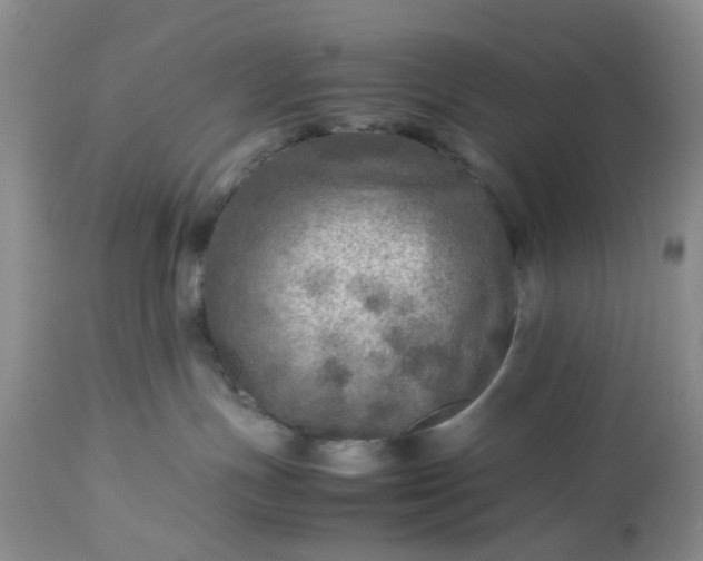 X0000113600191200910021749