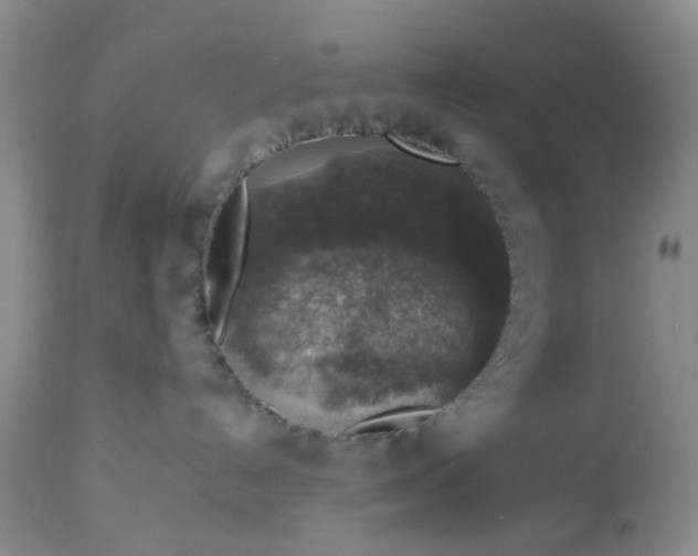 X0000113600192200910021749