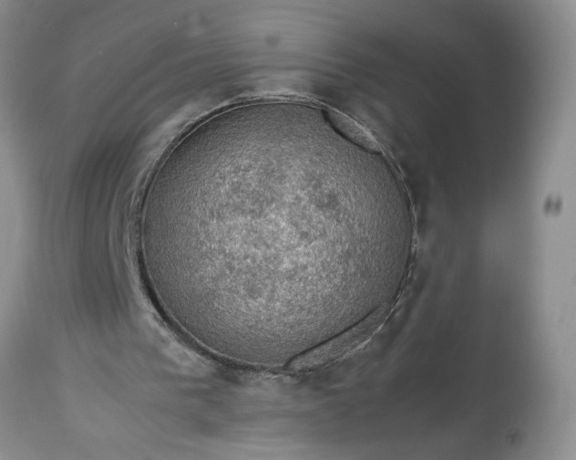 X0000113600193200910021749