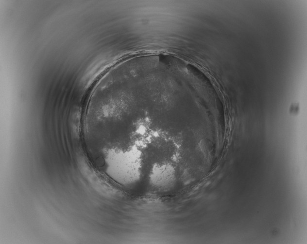 X0000113600194200910021749