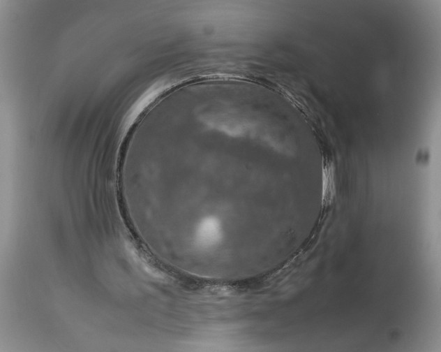 X0000113600195200910021749