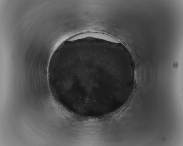 X0000113600196200910021749